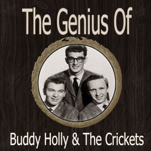 Обложка для Buddy Holly and the Crickets - Maybe Baby