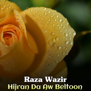 Обложка для Raza Wazir - Ma Raza Beltoona