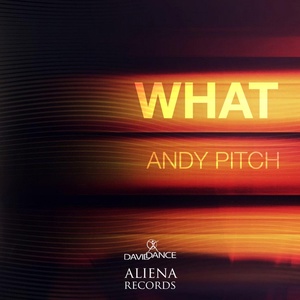 Обложка для Andy Pitch - What