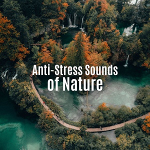 Обложка для Stress Relief Calm Oasis, Calming Sounds, Soothing Background Office Music Ensemble - Nature Relaxation