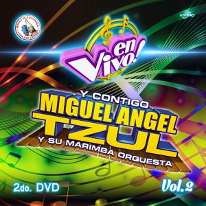 Обложка для Miguel Angel Tzul y Su Marimba Orquesta - Las Cumbias del Borrachito: Tomando y Tomando / Maldito Licor / El Borrachito / Teresita Enamórate de Mí