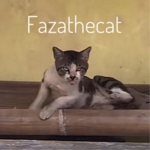Обложка для fazathecat - Catnap Serenade