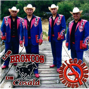 Обложка для Los Broncos De Cosala - El Plebe