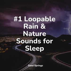 Обложка для Sonidos De Lluvia y Tormentas, Deep Sleep Meditation, Sons da Natureza - White Noise Rain Drops