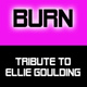 Обложка для Tribute to Ellie Goulding - Burn (We Gonna Let It Burn)