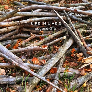 Обложка для EugeneKha - Ambel (Elf Cottage Festival, 2023)
