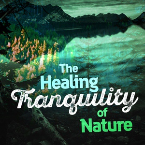 Обложка для The Healing Sounds of Nature - Bird Sounds