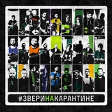 Обложка для Звери - Всё впереди (Home Version)