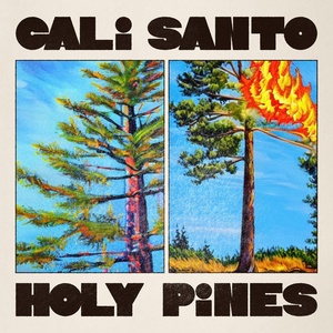 Обложка для Cali Santo - Middle Distance