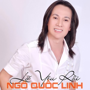 Обложка для Ngô Quốc Linh - Tình Cờ Gặp Nhau
