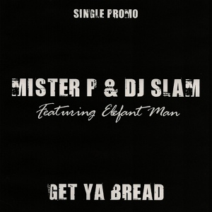 Обложка для Mister P & Dj Slam feat. Elefant Man - Feel The Rythm