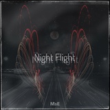 Обложка для MsE - Night Flight