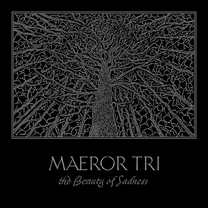 Обложка для Maeror Tri - Avaldamon