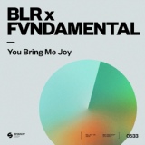 Обложка для BLR, FVNDAMENTAL - You Bring Me Joy