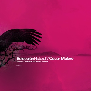 Обложка для Oscar Mulero - Seleccion Natural Parte 4