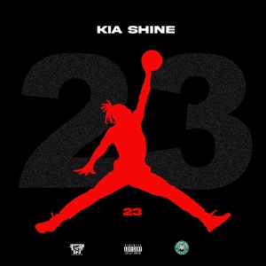 Обложка для Kia Shine - 23