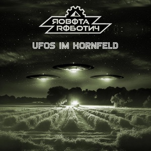 Обложка для Robota Robotny - UFOs im Kornfeld