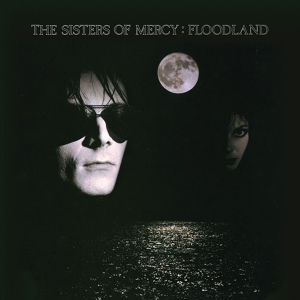 Обложка для The Sisters Of Mercy - Sandstorm