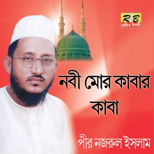 Обложка для Pir Nazrul Islam - Nobi Mor Kabar Kaba
