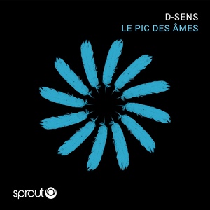 Обложка для D-Sens - Pace