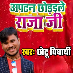 Обложка для Chhotu Vidyarthi feat. Shilpi Raj - Apatan Chhodaile Raja Ji
