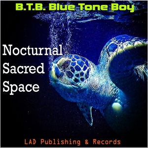 Обложка для B.T.B. Blue Tone Boy - Nocturnal Sacred Space