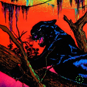 Обложка для Panthera - Planet of Black Fear