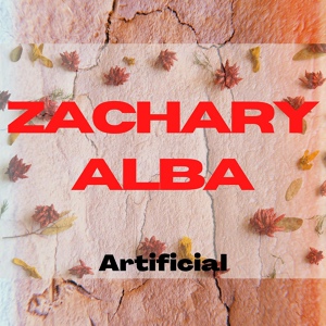Обложка для Song writer Mahmood Matloob, Zachary Alba - VEGETABLE MUNCHER