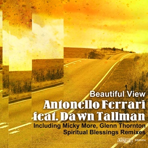 Обложка для Antonello Ferrari feat. Dawn Tallman - Beautiful View