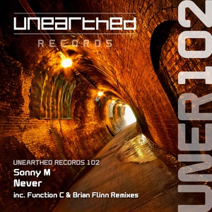 Обложка для Sonny M - Never (Function C Remix)
