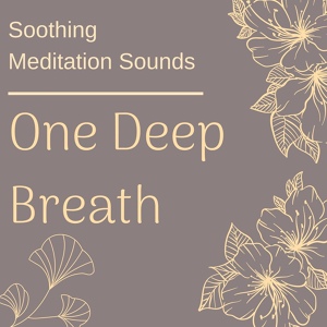 Обложка для Drishti Sutras - Calm Down