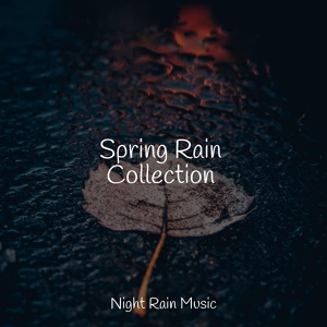 Обложка для Binaural Beats, Meditação Maestro, Nursery Rhymes - Rain, Light Metal, Window Pane