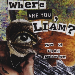 Обложка для WHERE ARE YOU LIAM - Dead Air Space