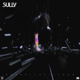 Обложка для Sully, FETISH - Asylum