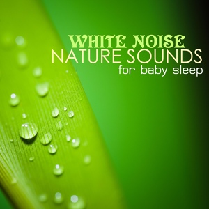 Обложка для Sweet Baby Sleep Baby - Early Morning