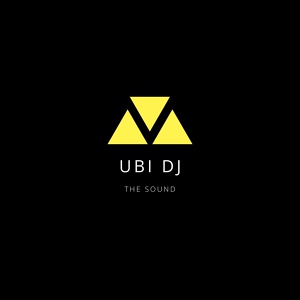 Обложка для Ubi DJ - Ale My Love