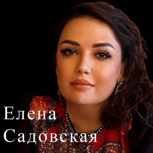 Обложка для Елена Садовская - Еду на войну