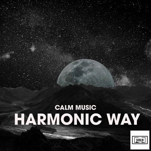 Обложка для Calm Music - Moonlight Vibes