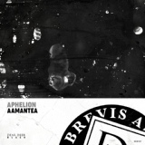Обложка для Amantea - Quadrum