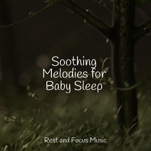 Обложка для Baby Sleep, Música Zen Relaxante, Brain Study Music Guys - A Taste of Calm