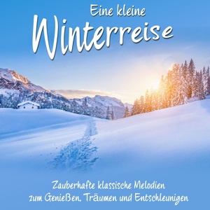 Обложка для Peter Wohlert, Berliner Kammerorchester - Weihnachtsoratorium BWV 248: Hirtensinfonie