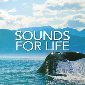 Обложка для Sounds For Life - Deep Meditation Sounds