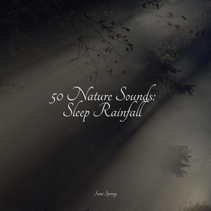 Обложка для Pro Sound Effects Library, Sonidos de la Naturaleza, Nursery Rhymes - White Noise Rain in the River