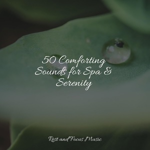 Обложка для Nature Sounds Nature Music, Tranquility Spa Universe, Música de la Naturaleza - Aura Cleanse