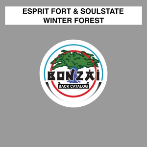 Обложка для SoulState, Esprit Fort - Winter Forest (Original Mix)