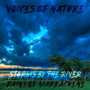 Обложка для Voices of Nature - Makana