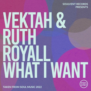 Обложка для Ruth Royall, Vektah - What I Want