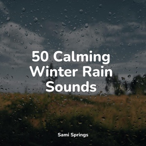 Обложка для Rainforest, Rain Sound Studio, Deep Sleep Meditation - Watching Rains