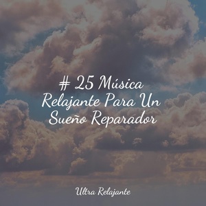 Обложка для Lluvia Relajante, Mantra para Dormir, Meditación - Cascada