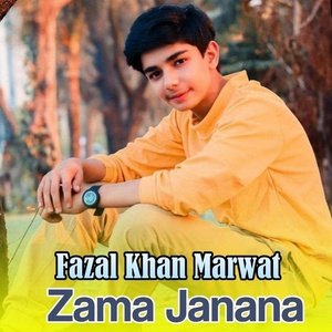 Обложка для Fazal Khan Marwat - Zama Janana